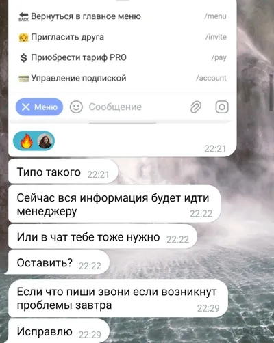 Скриншот переписки с Марией